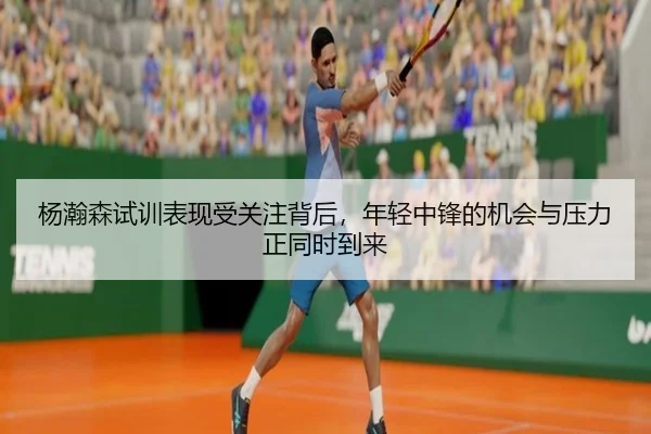 杨瀚森试训表现受关注背后，年轻中锋的机会与压力正同时到来 - ngyule